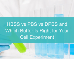 HBSS vs PBS vs DPBS and Which Buffer Is Right for Your Cell Experiment - cover